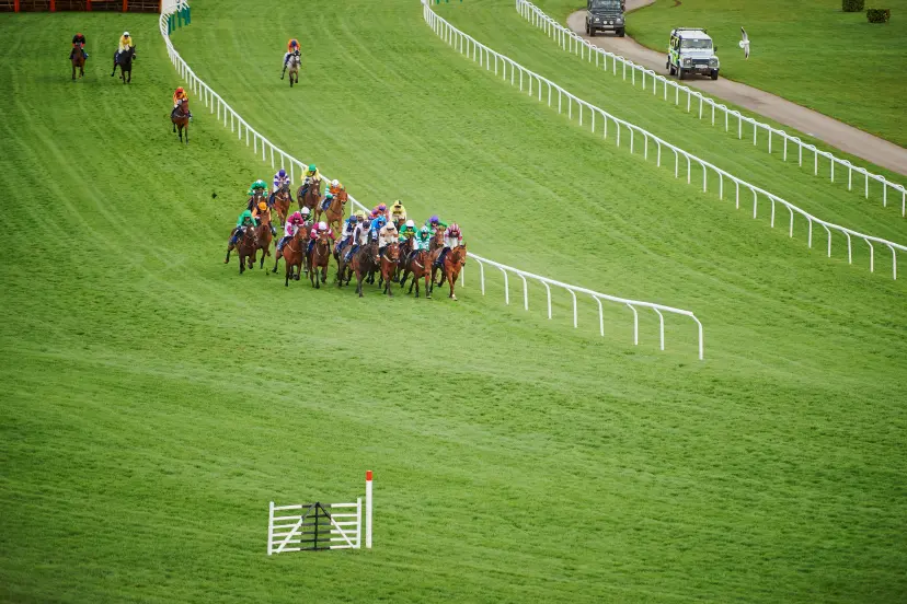 Horse racing at Cheltenham Racecourse, England