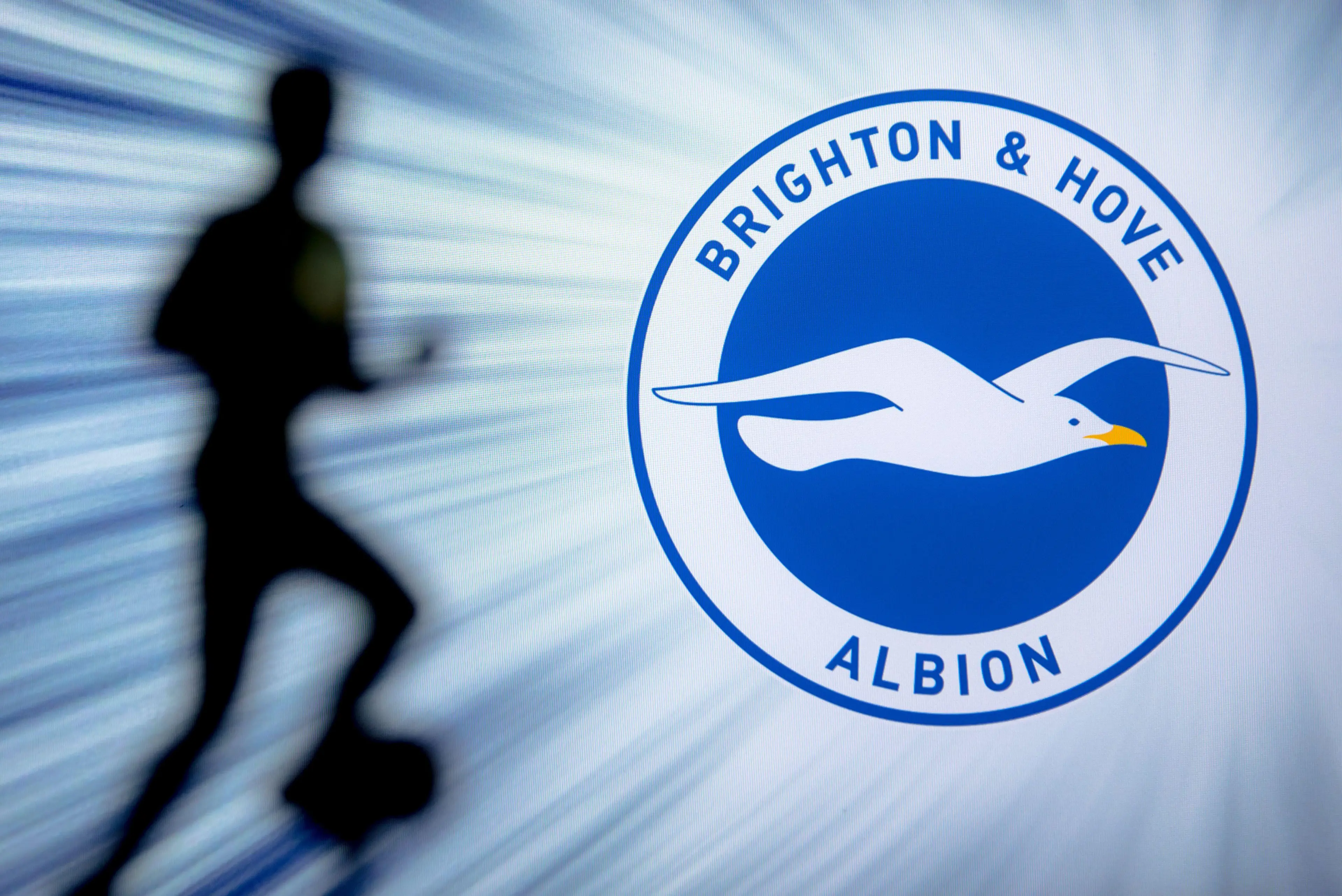 Brighton and Hove Albion FC