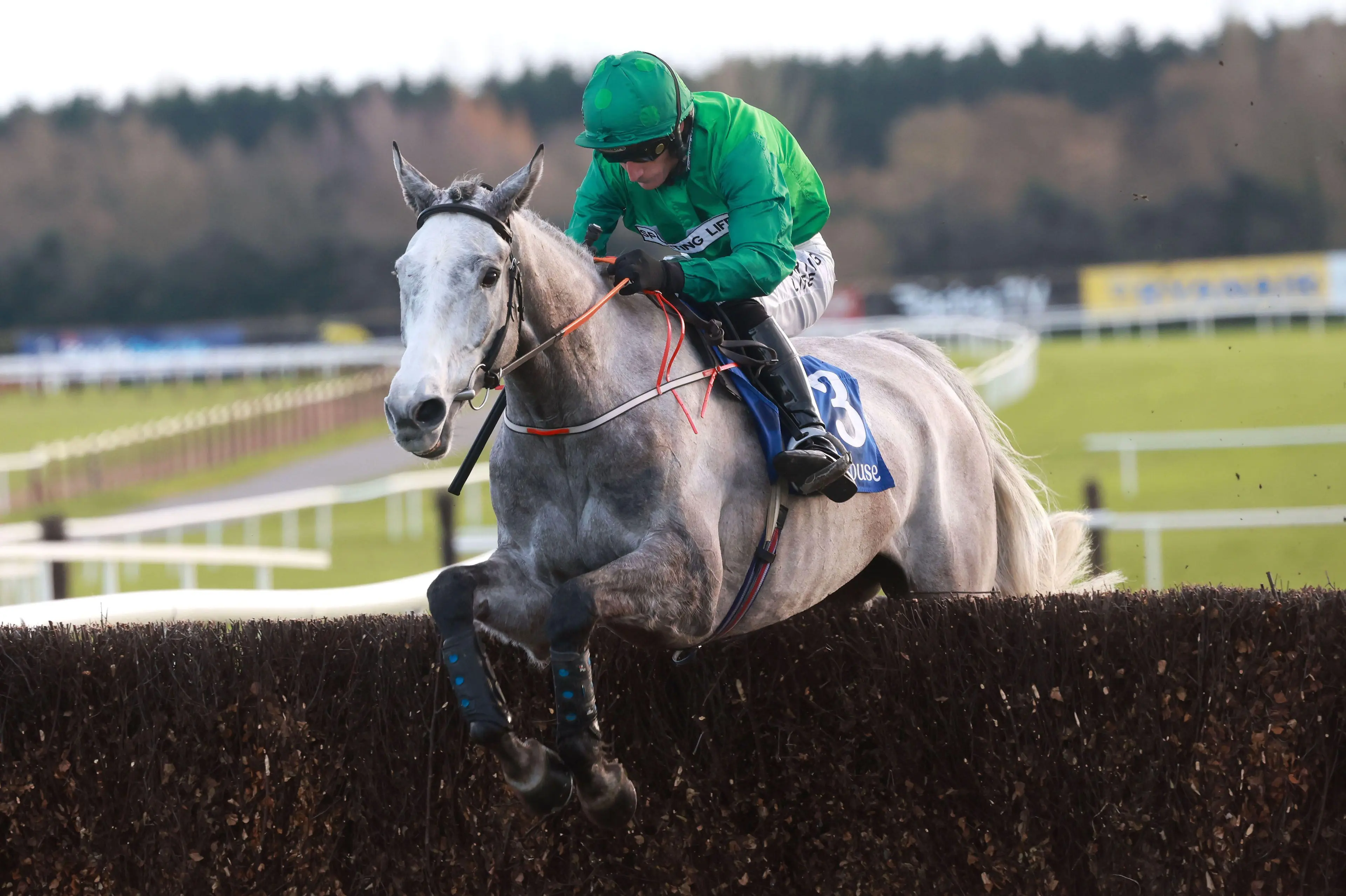 Intense Raffles with Daryl Jacob up jump the last on the way to winning the Book Your Advanced Tickets Rated Novice Chase at Fairyhouse Racecourse in County Meath, Ireland. Picture date: Saturday February 24, 2024