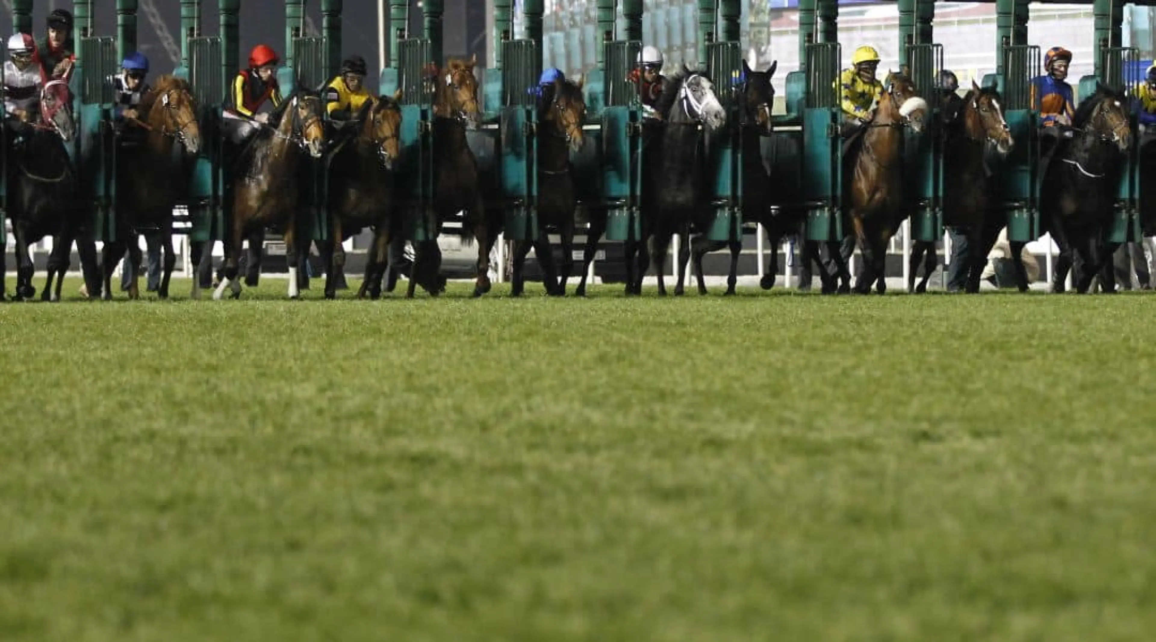 Dubai World Cup Meydan