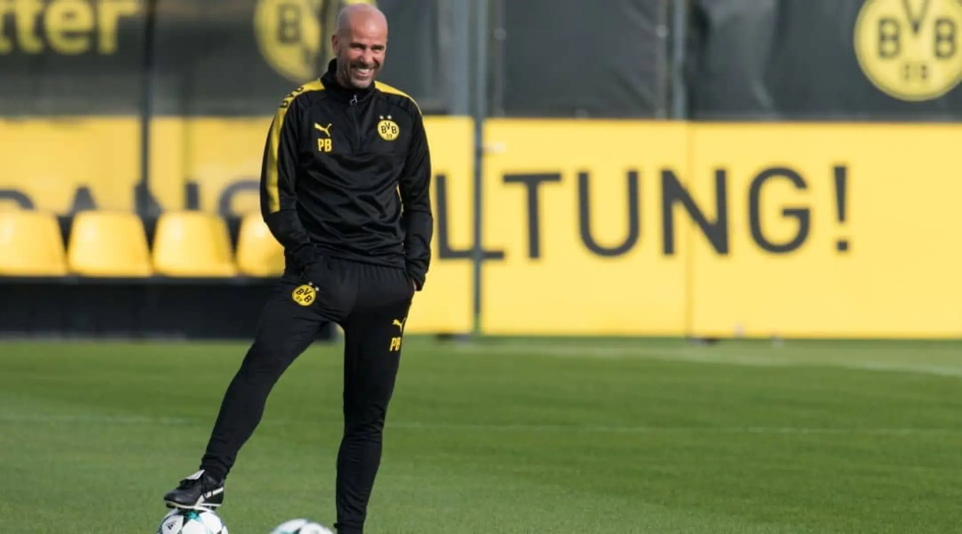 Peter Bosz Borussia Dortmund odds