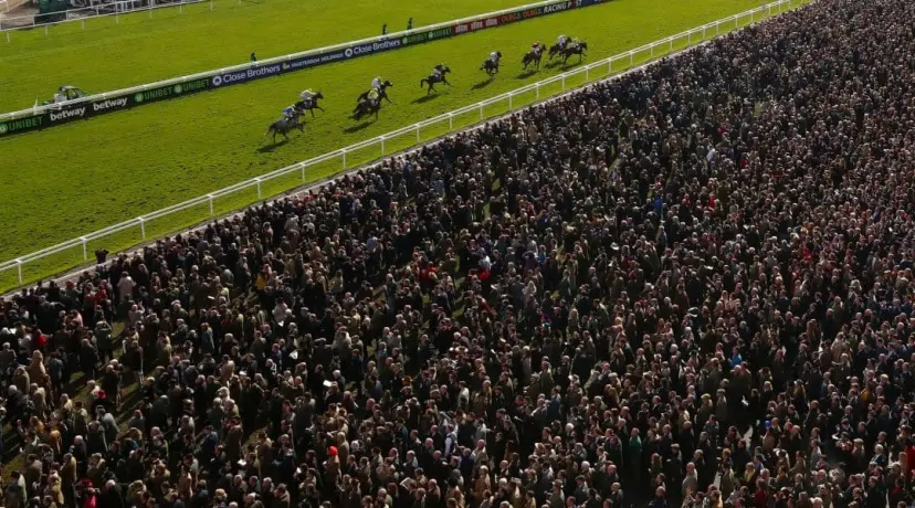 Cheltenham Festival Crowd