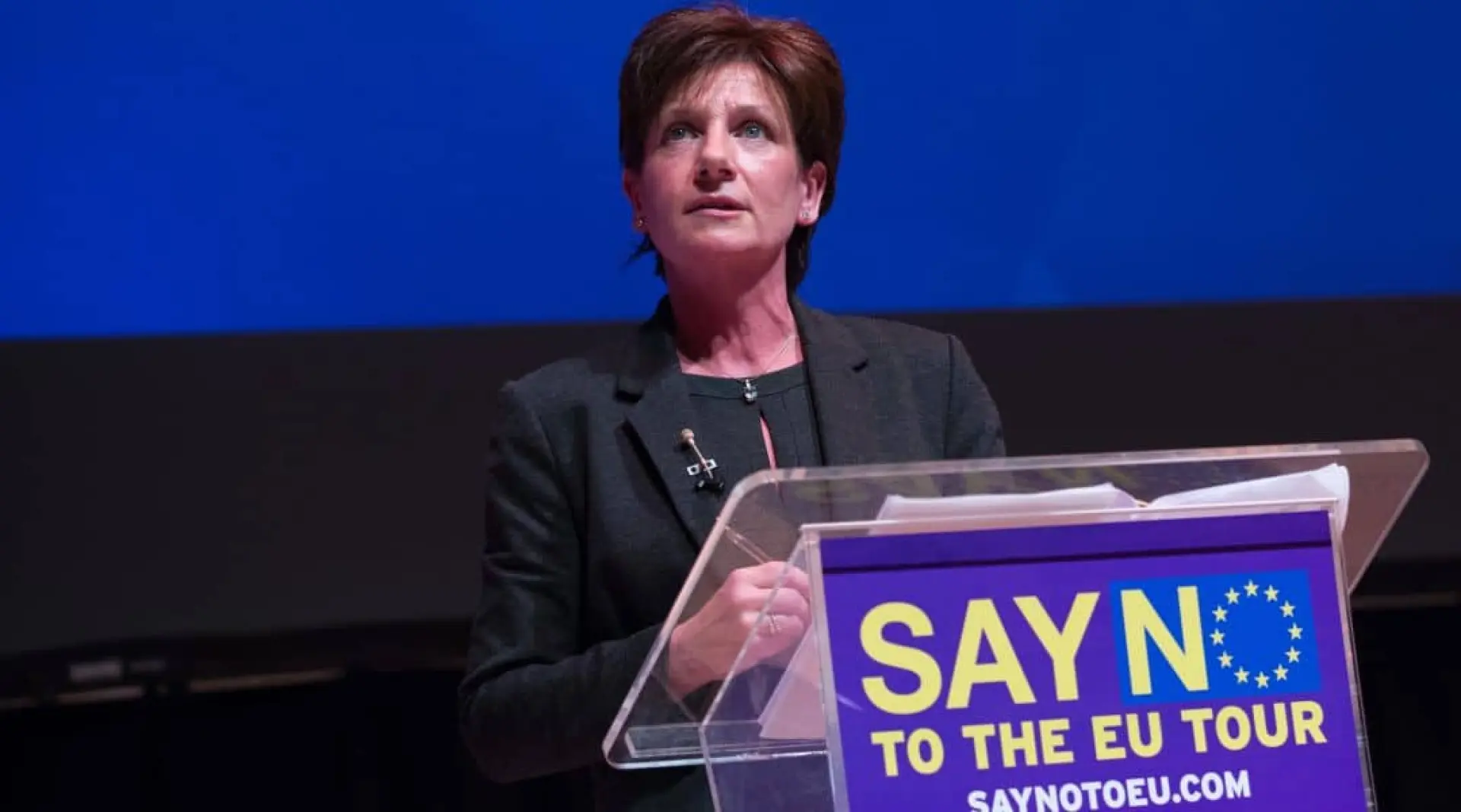 Diane James UKIP leadership candidate
