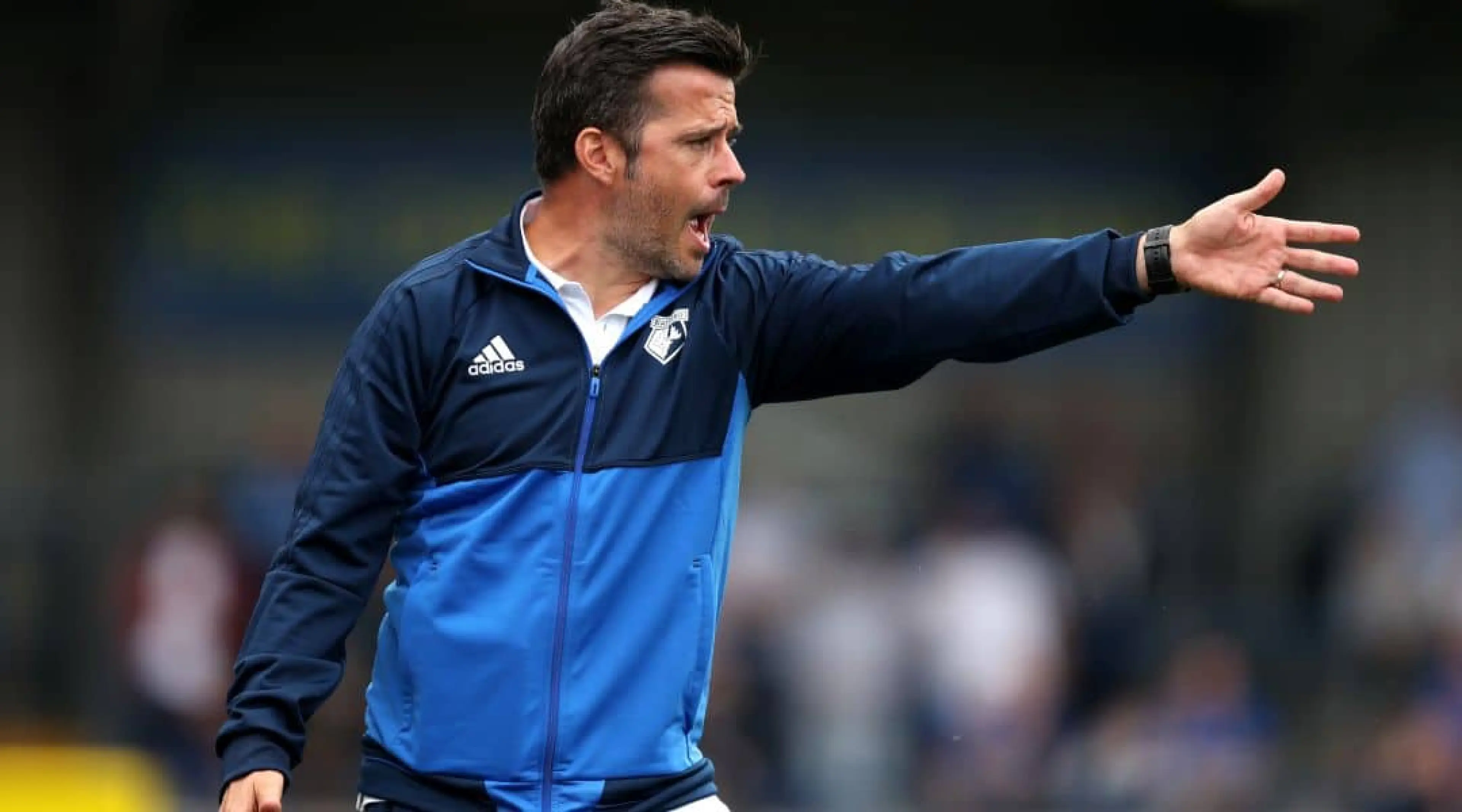 Marco Silva, Fulham, Championship betting tips