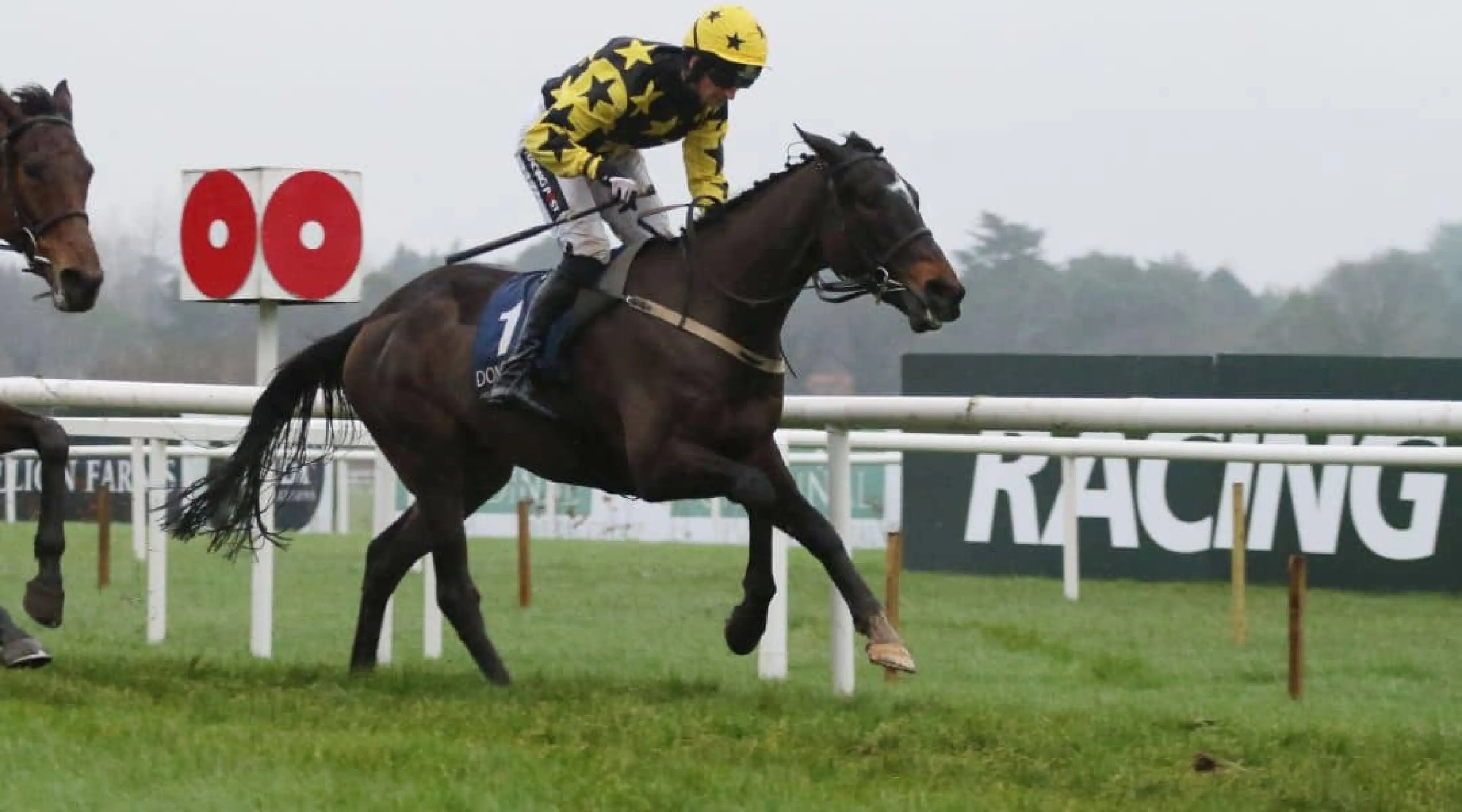 Barcardys - Neptune Novices' Hurdle odds