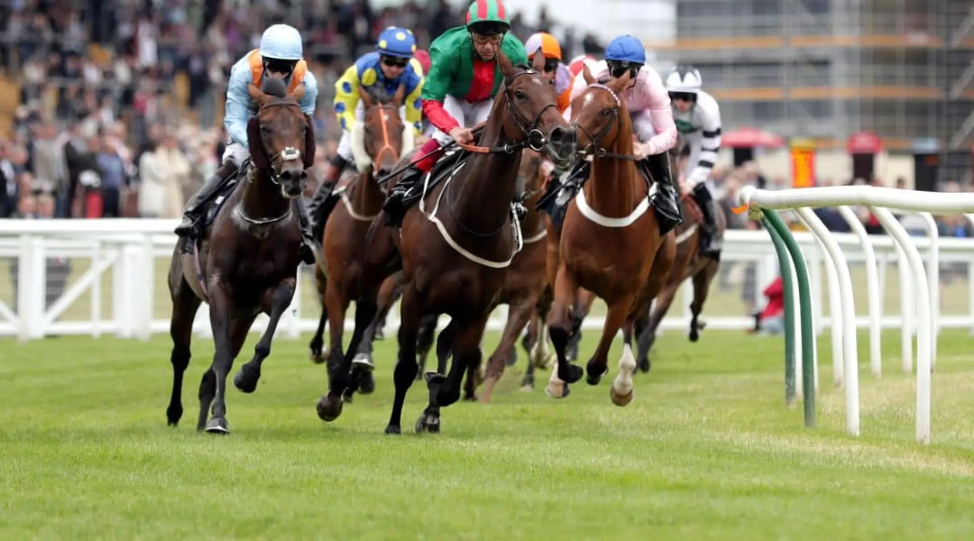 Newbury odds, Newmarket odds, Horse Racing odds