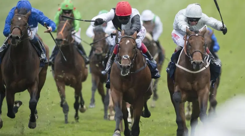 Cracksman odds