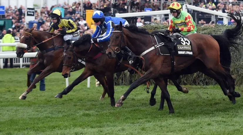 Grand National odds