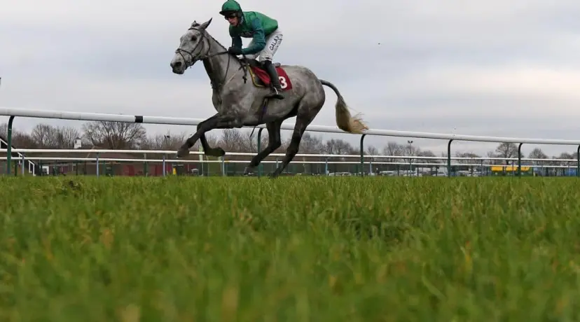 Bristol De Mai odds, Horse Racing odds, Cheltenham odds, Cotswold Chase odds