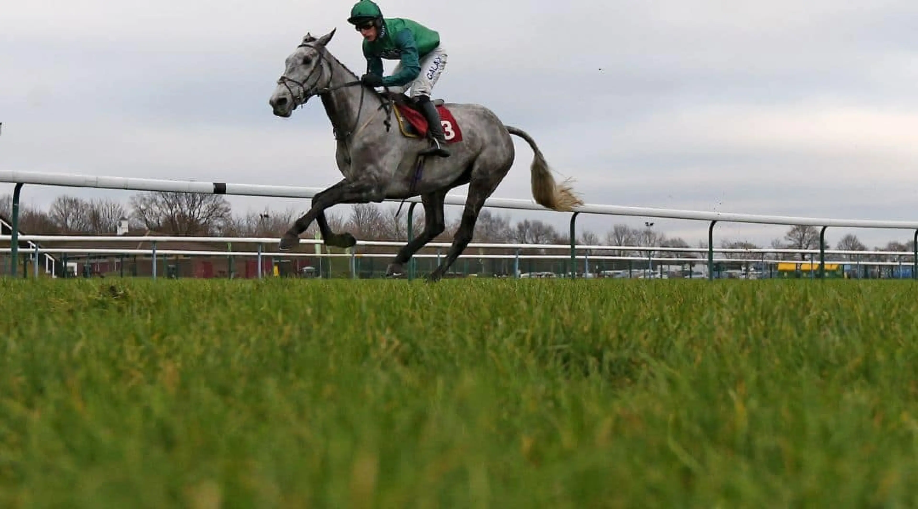 Bristol De Mai odds, Horse Racing odds, Cheltenham odds, Cotswold Chase odds