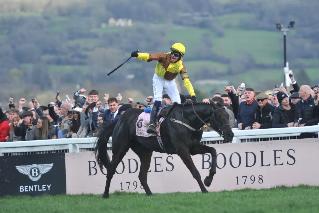 Cheltenham Festival 2025 odds Gold Cup favourites