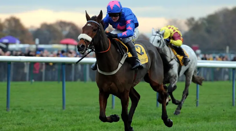 Cue Card odds
