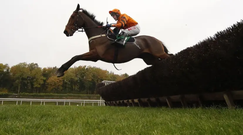 Newbury Winter Hurdle odds, Long Distance hurdles, odds, Thistlecrack odds