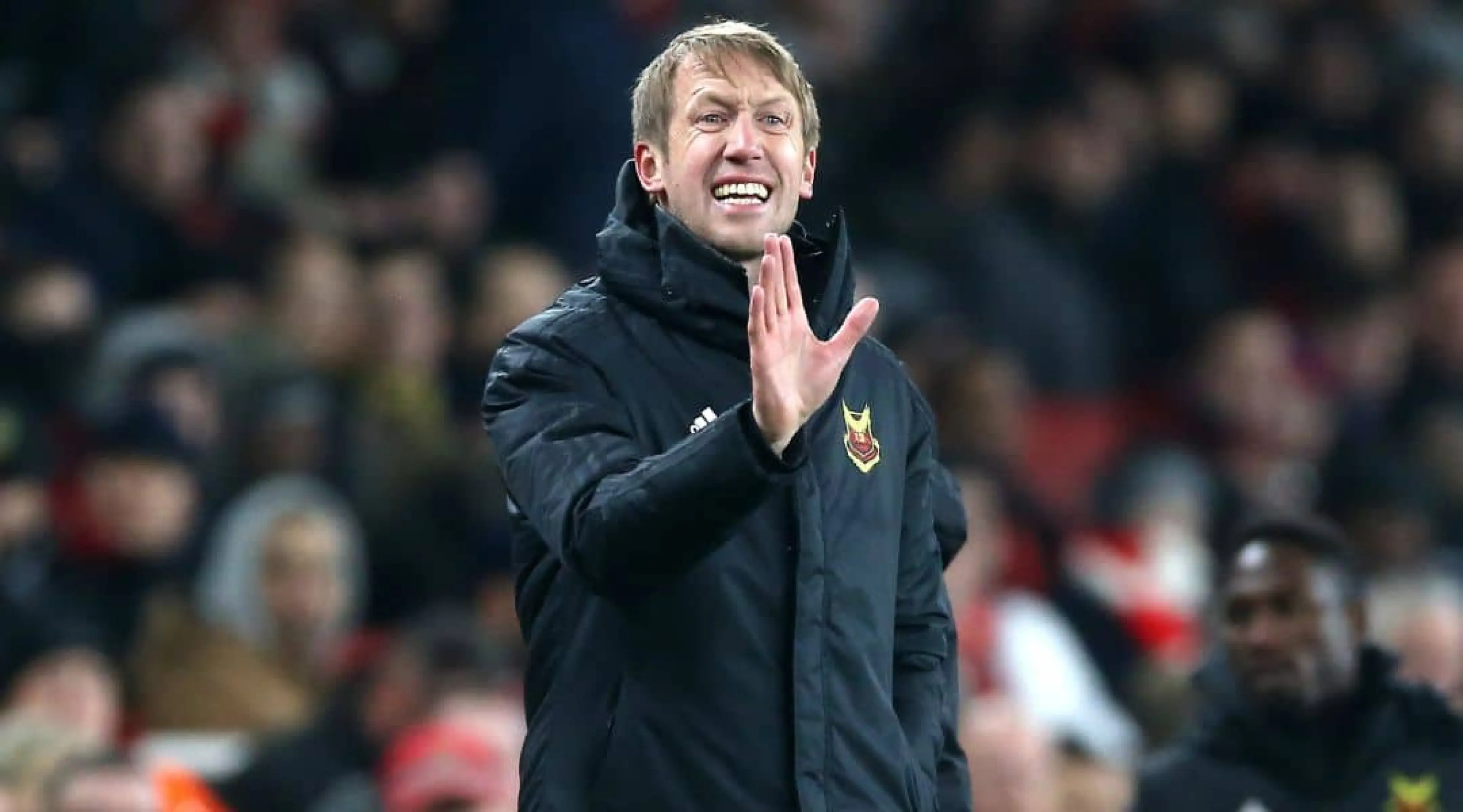 Graham Potter, Brighton, Premier League, Norwich v Brighton betting tips