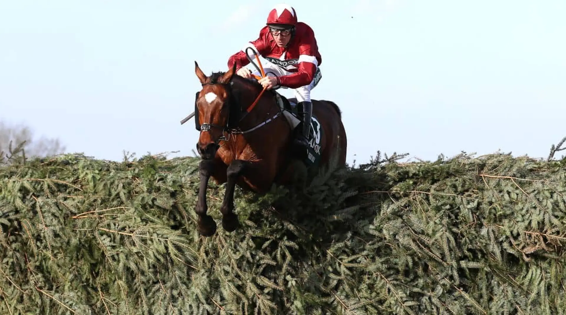 Tiger Roll wins Grand National