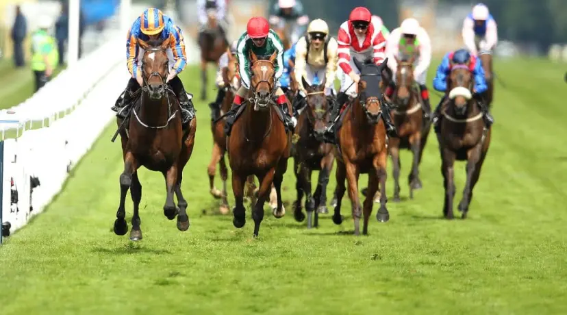 Royal Ascot odds