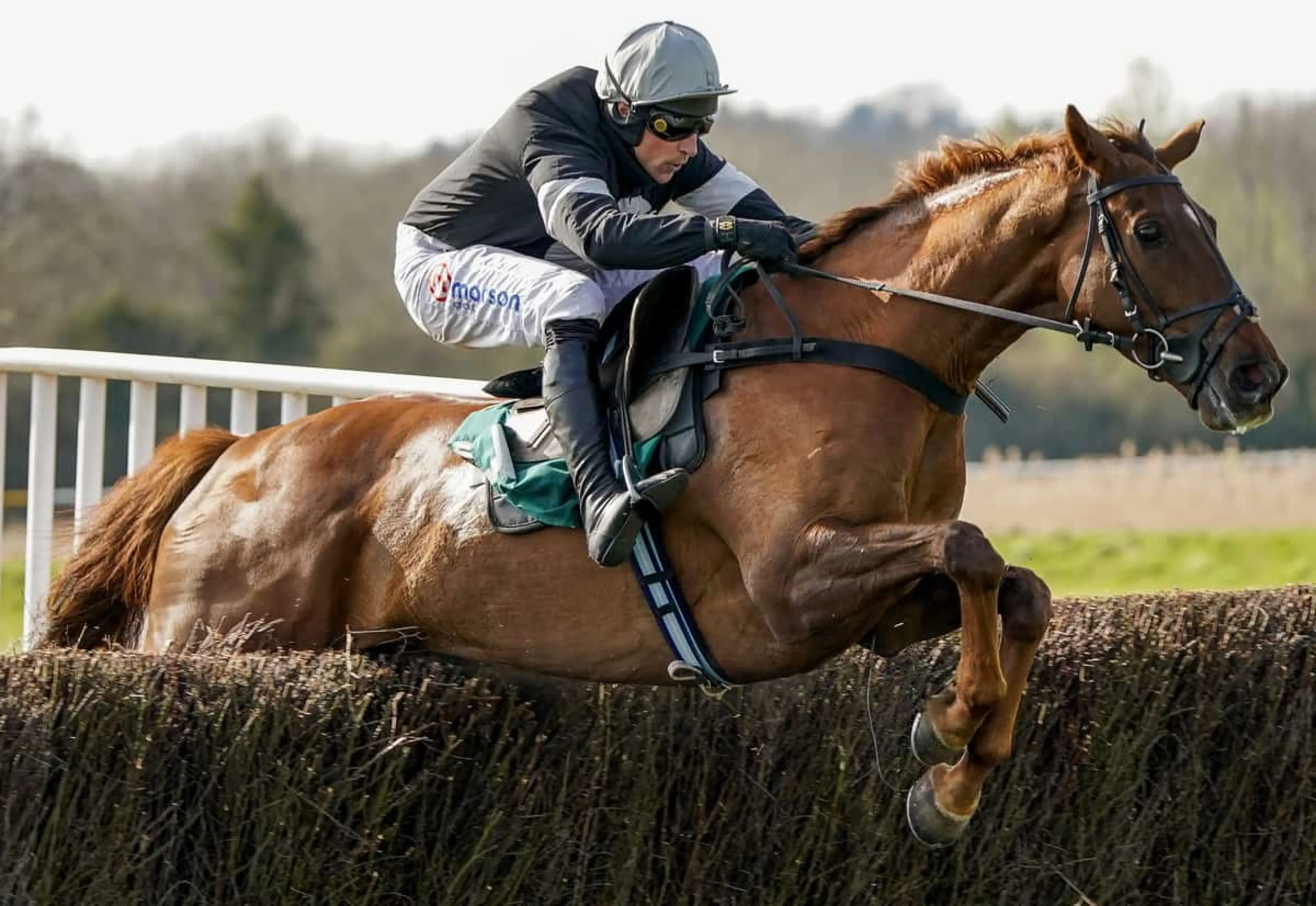 Harry Skelton horse racing