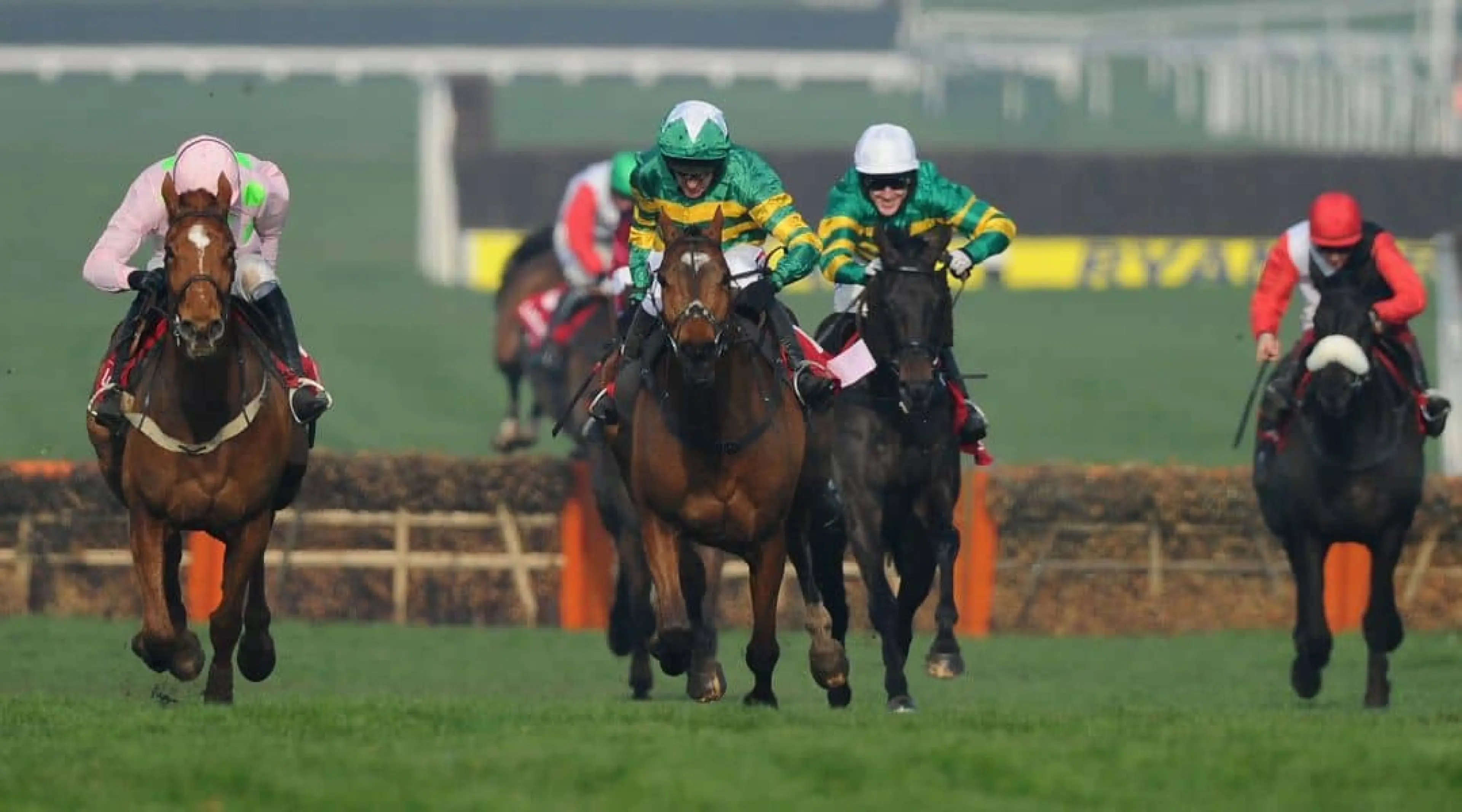 More of That - Cheltenham