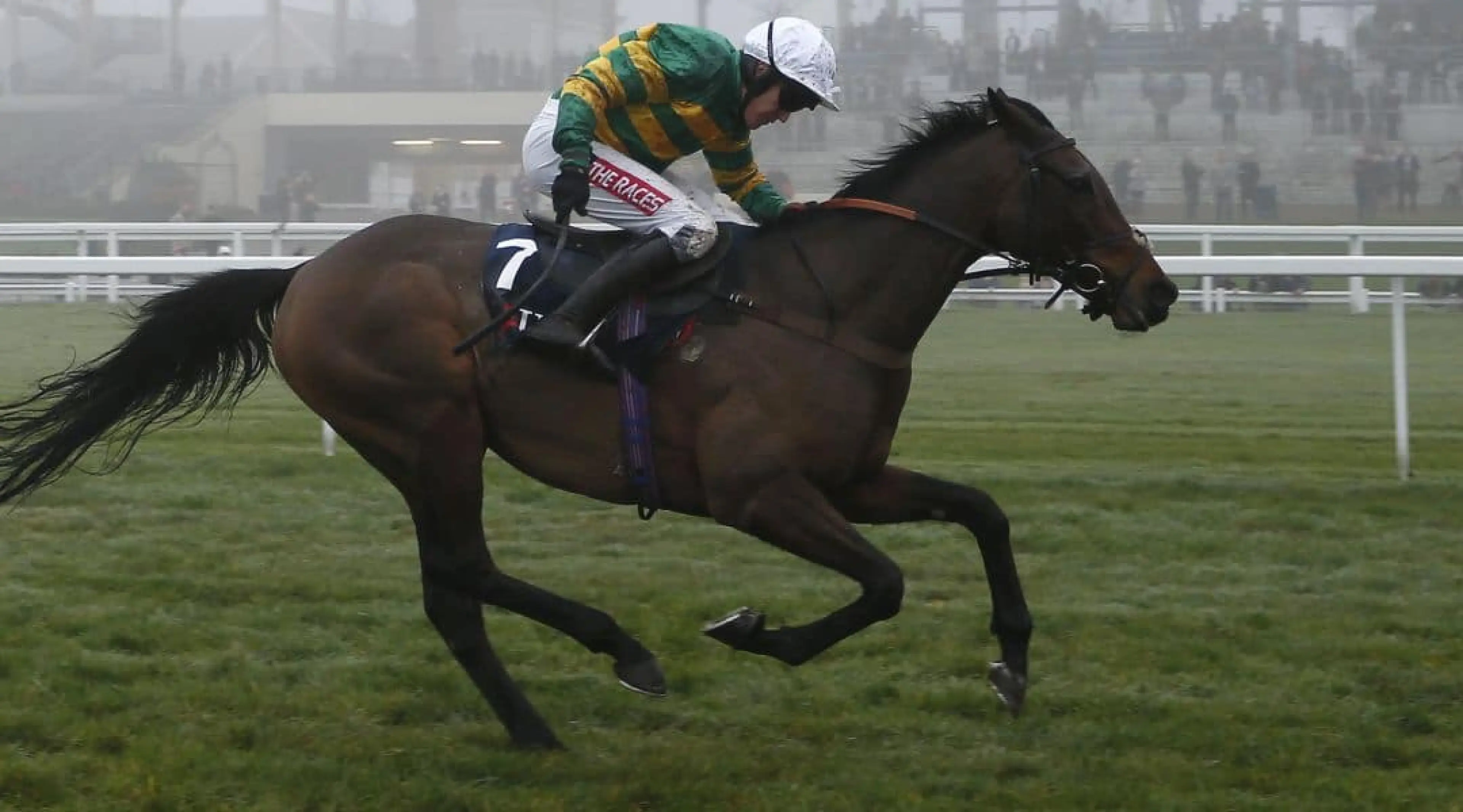 Unowhatimeanharry odds, Horse Racing odds, Ascot odds, Haydock odds