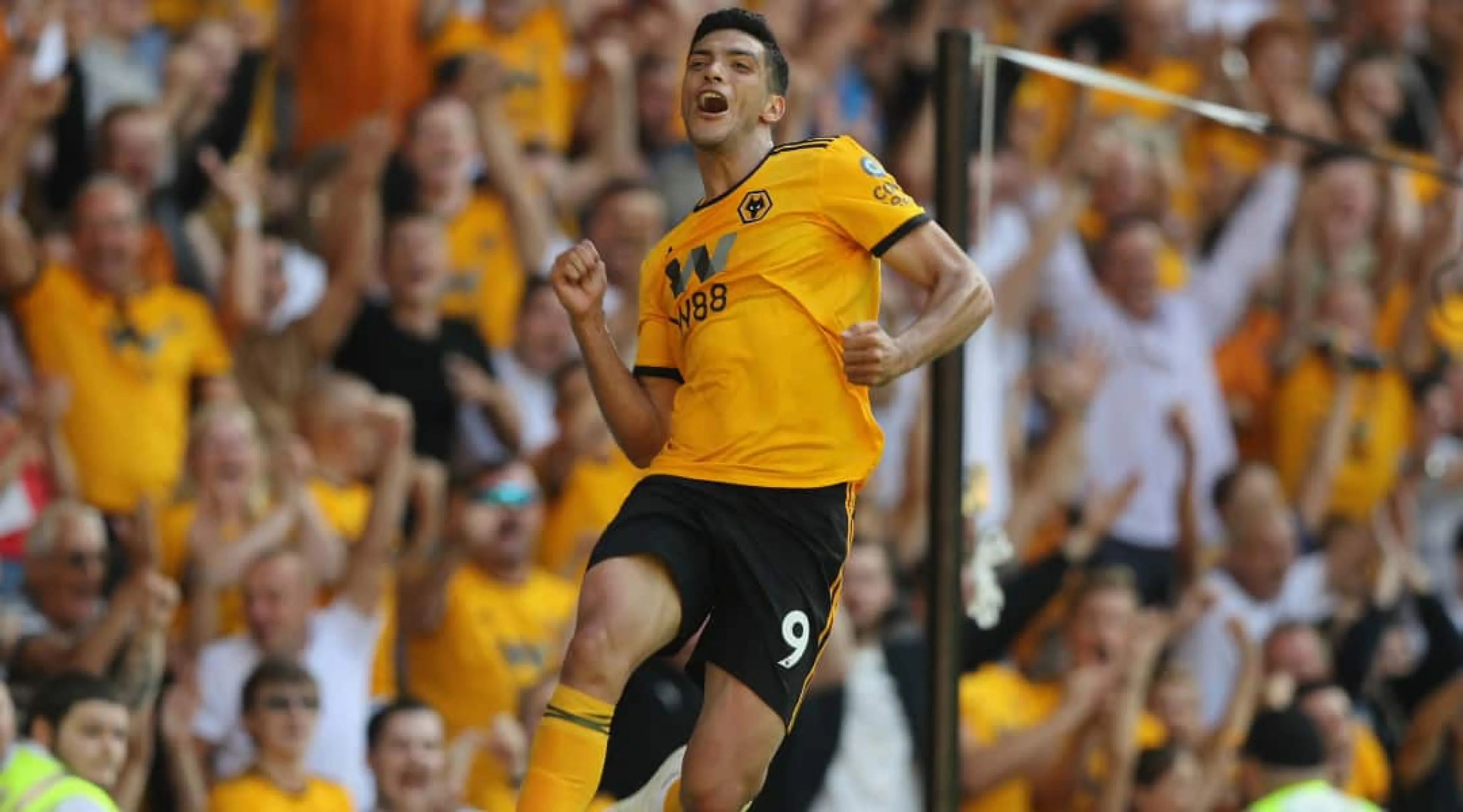 Raul Jimenez Wolves