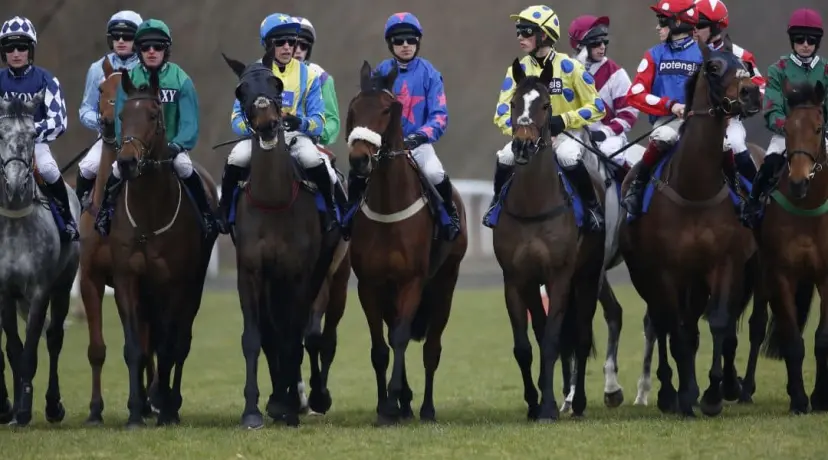 Kempton - BetBright Chase odds