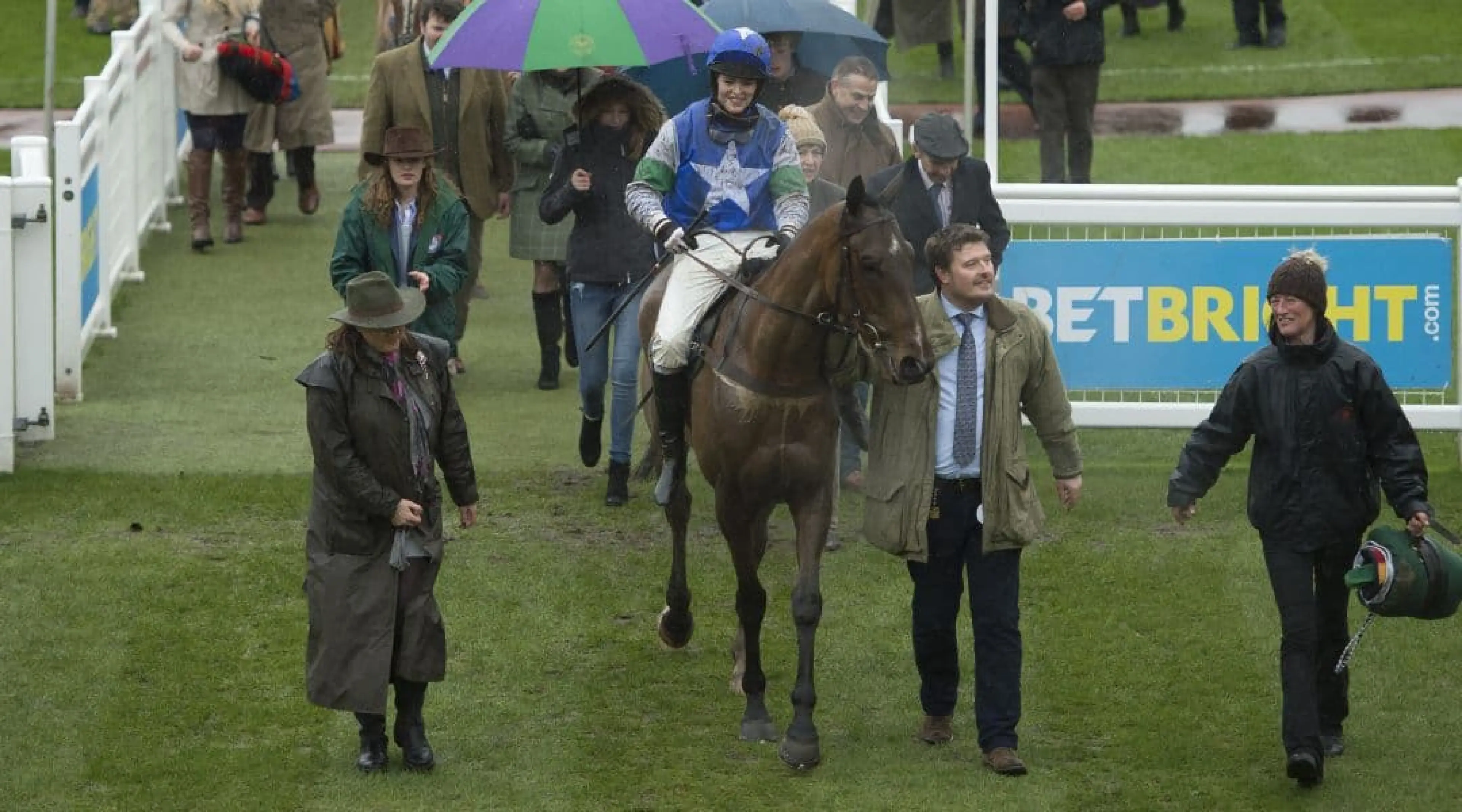 Coo Star Sivola - Cheltenham odds