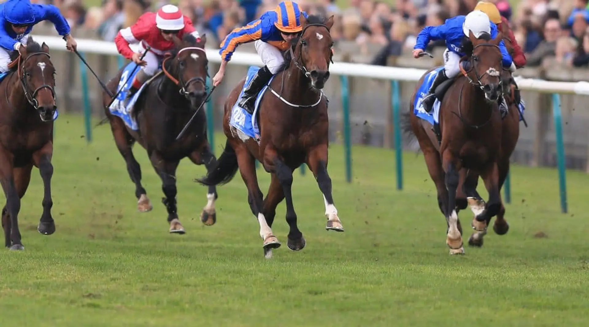 Irish Champion Stakes, Churchill odds, Horse racing odds
