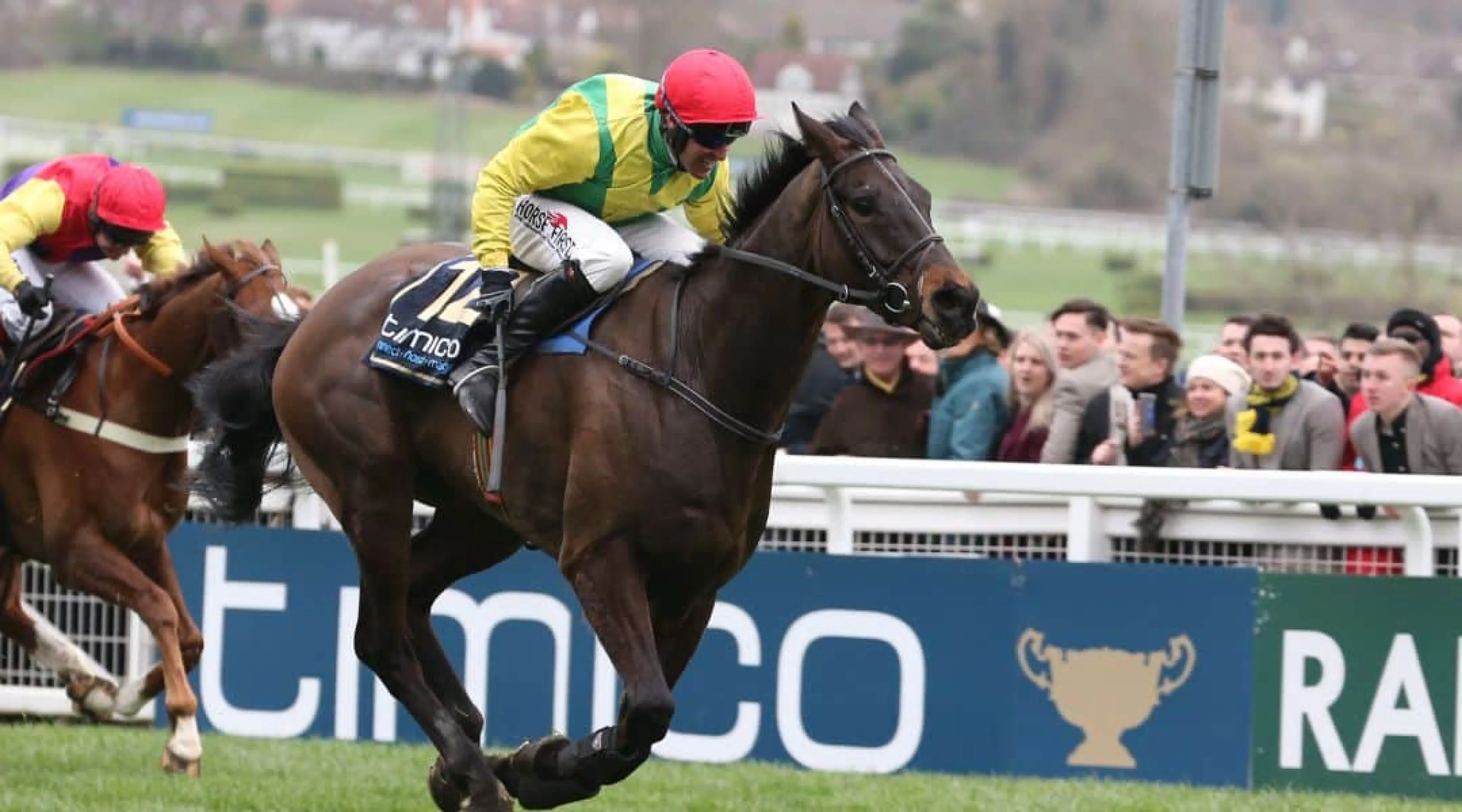 Sizing John - Cheltenham Gold Cup odds