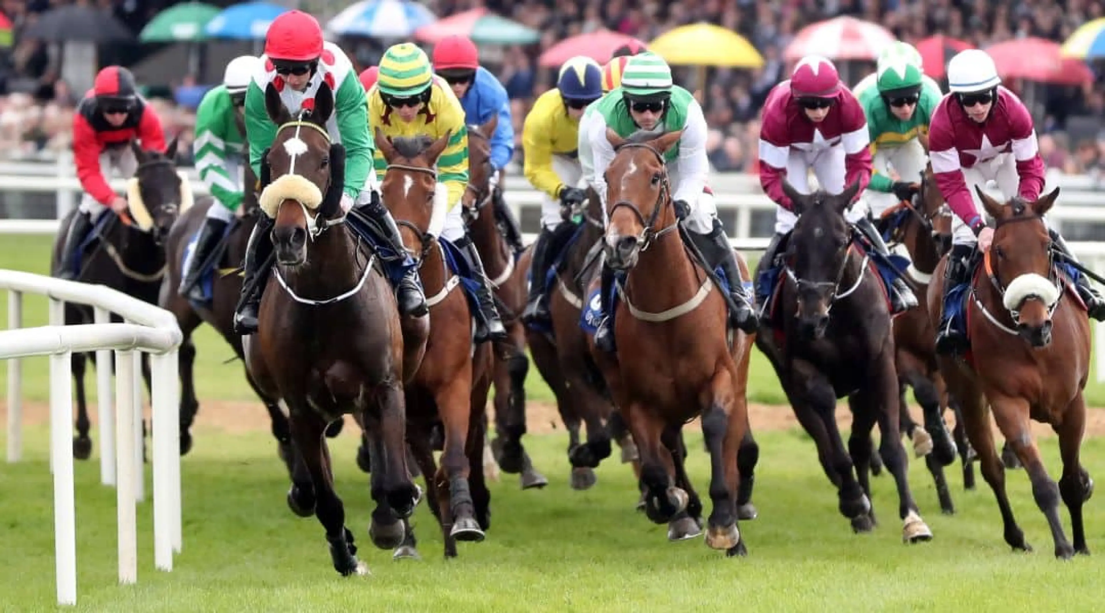 Fairyhouse