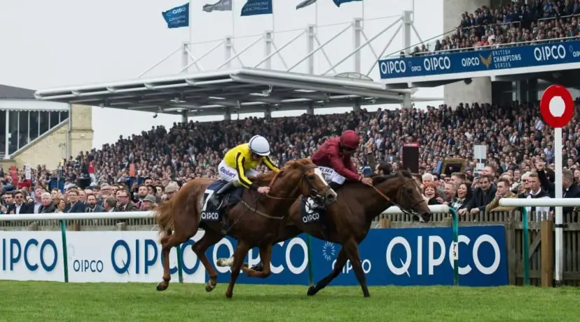 Newmarket odds