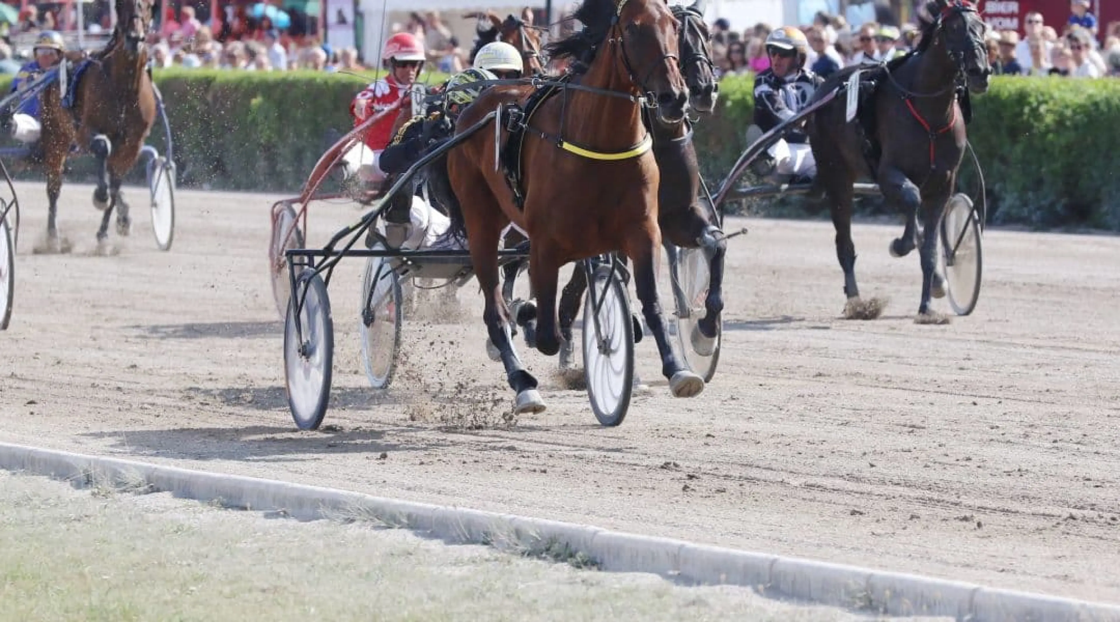 Trotting