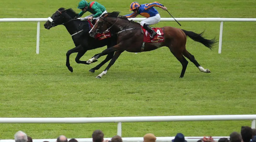 Idaho (r) - Ladbrokes St Leger