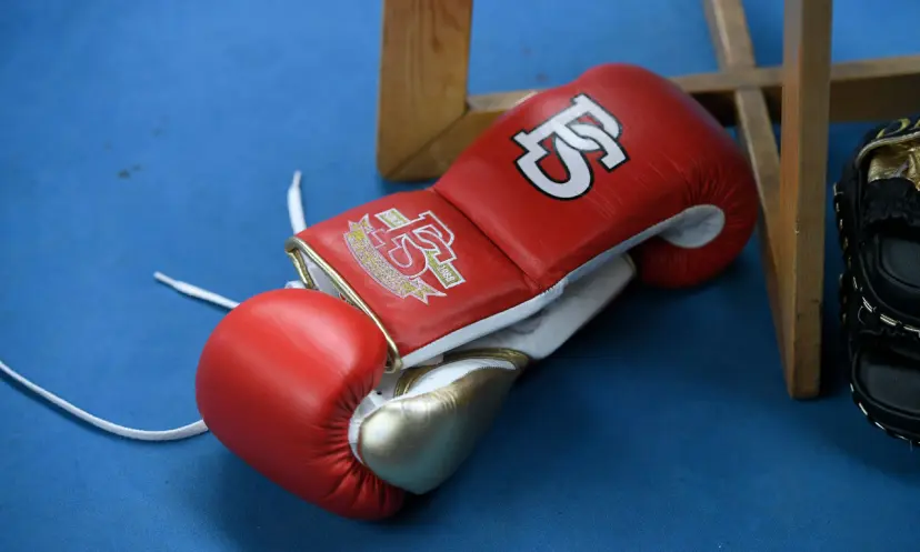 Tyson Fury boxing gloves