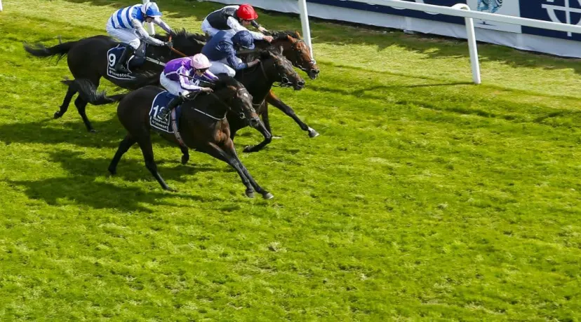 Irish Derby odds