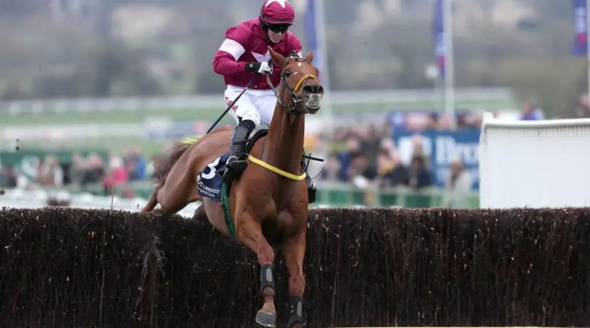 Road to Respect at Cheltenham