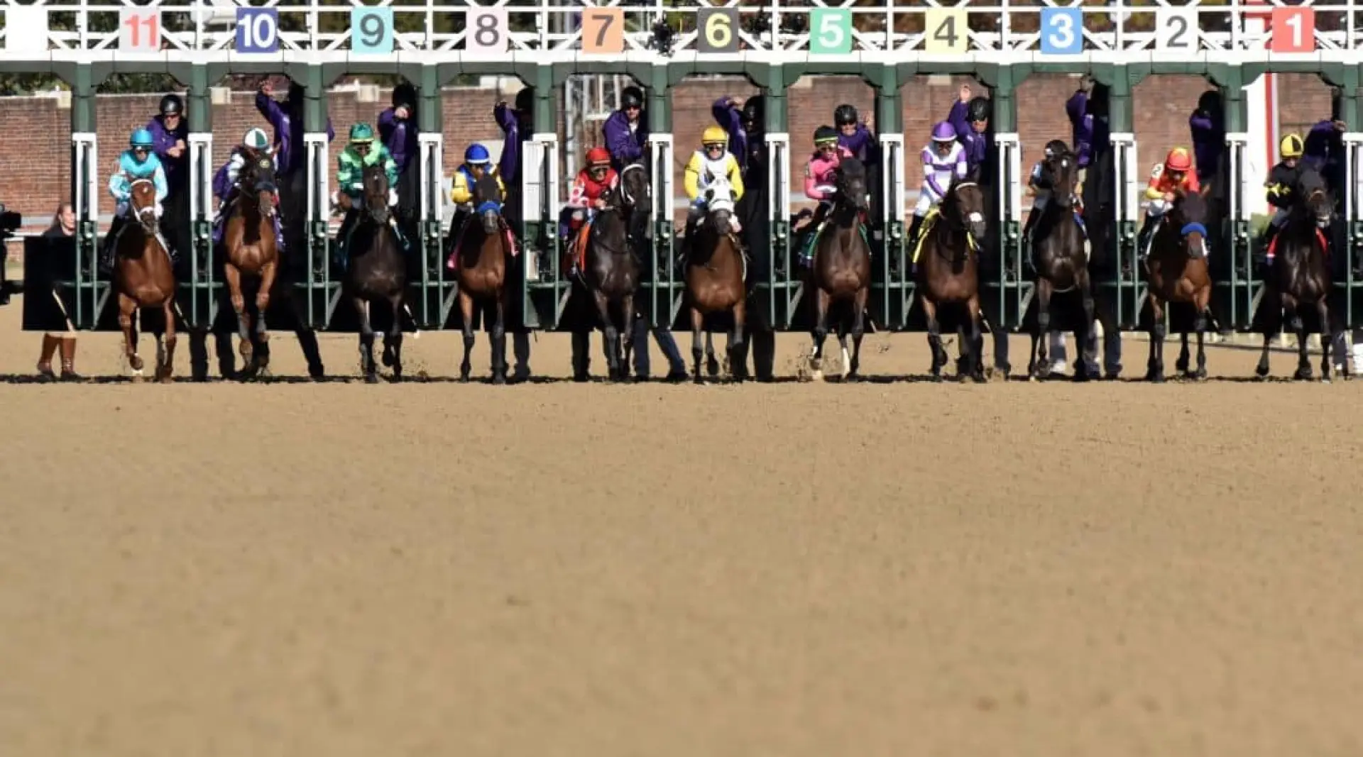 Horse Racing stalls, Breeders' Cup