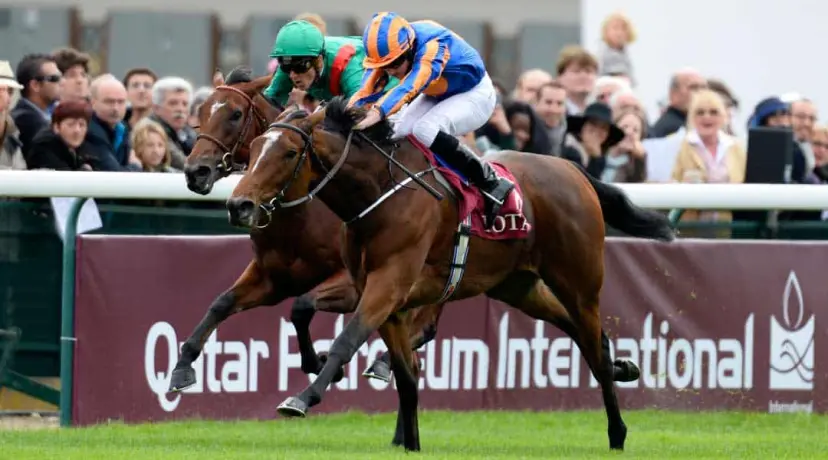 Ervedya duels with Found in the Prix Marcel Boussac 2014