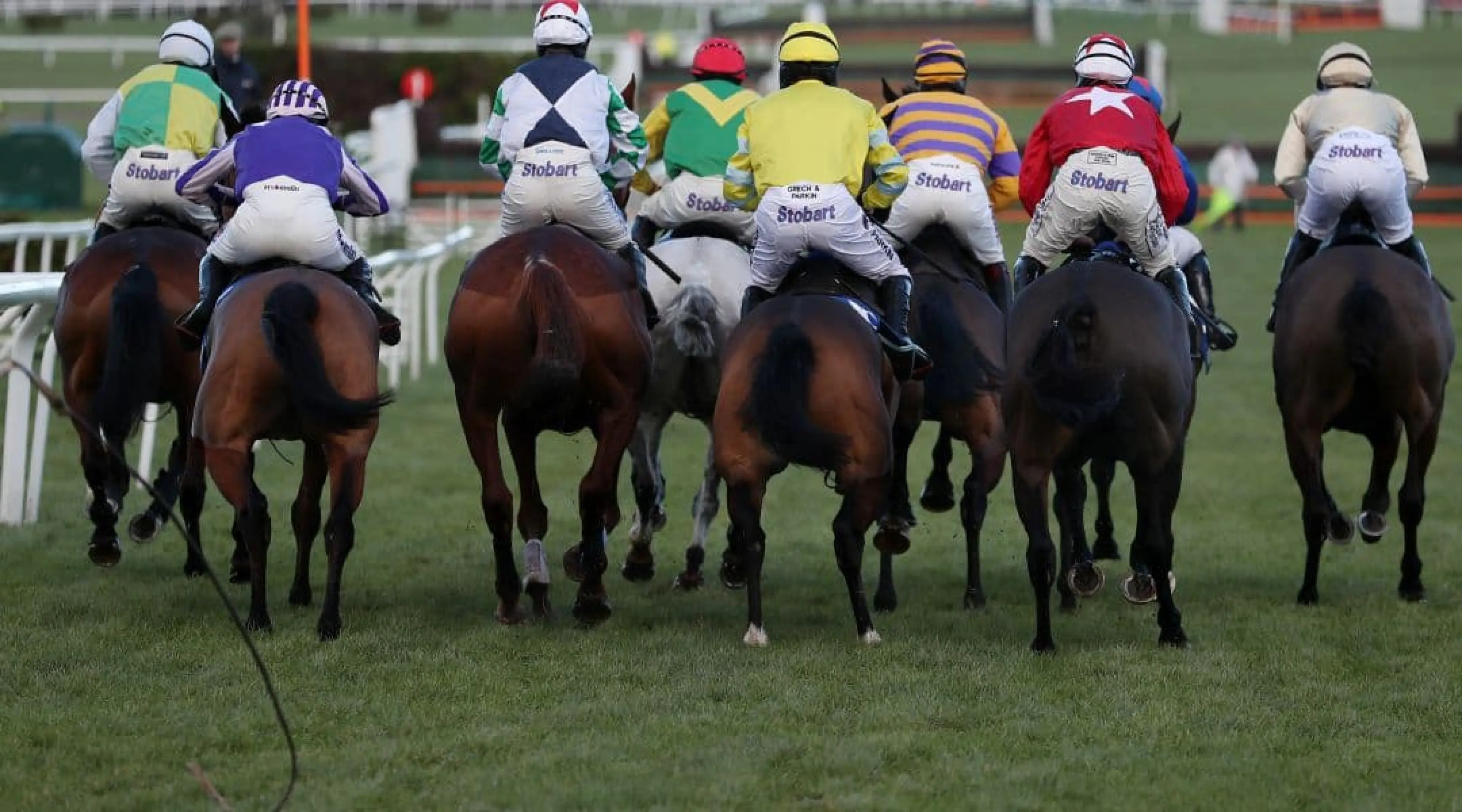 Cheltenham Festival 2019 Favourite Horses