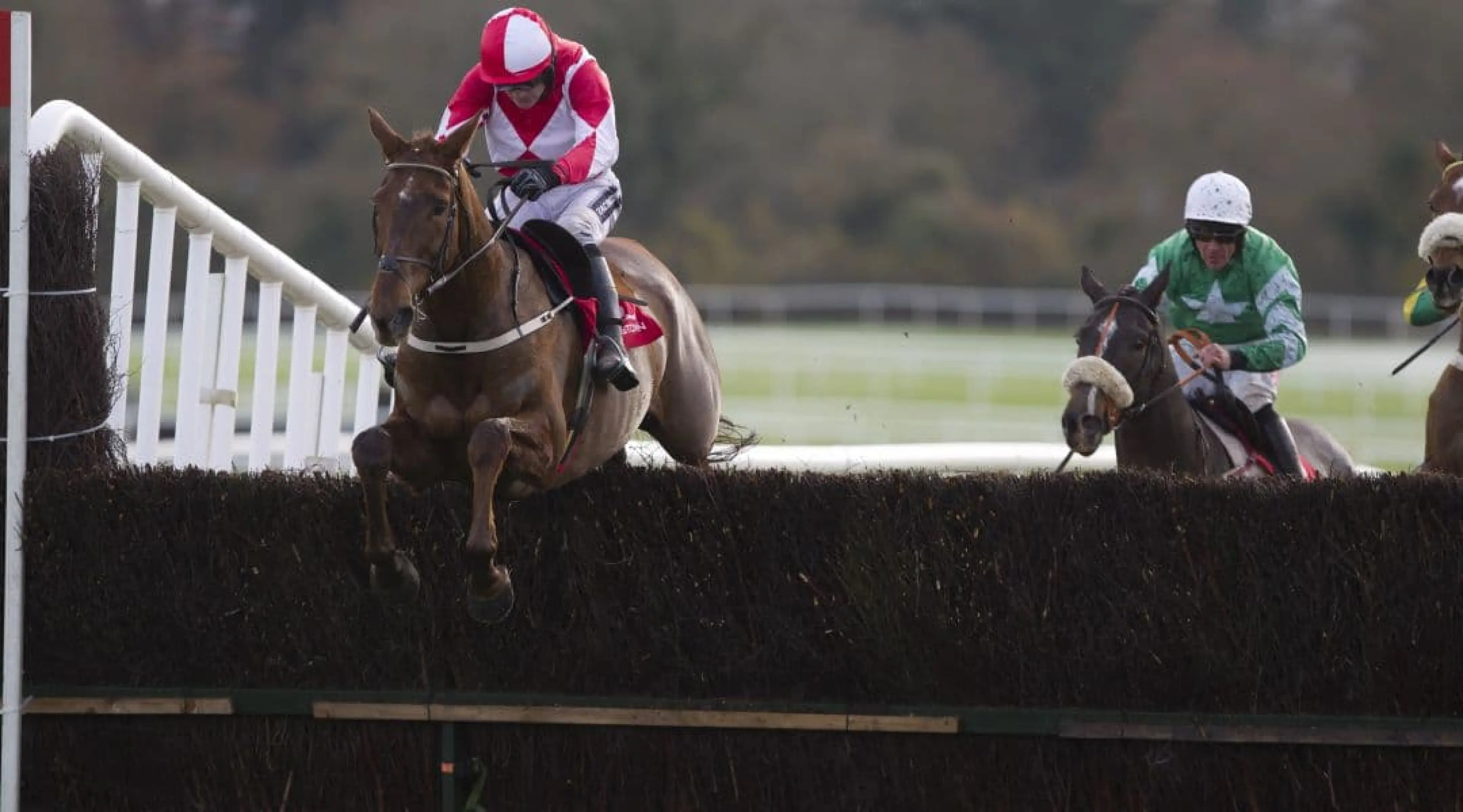 Haymount - Irish Grand National odds