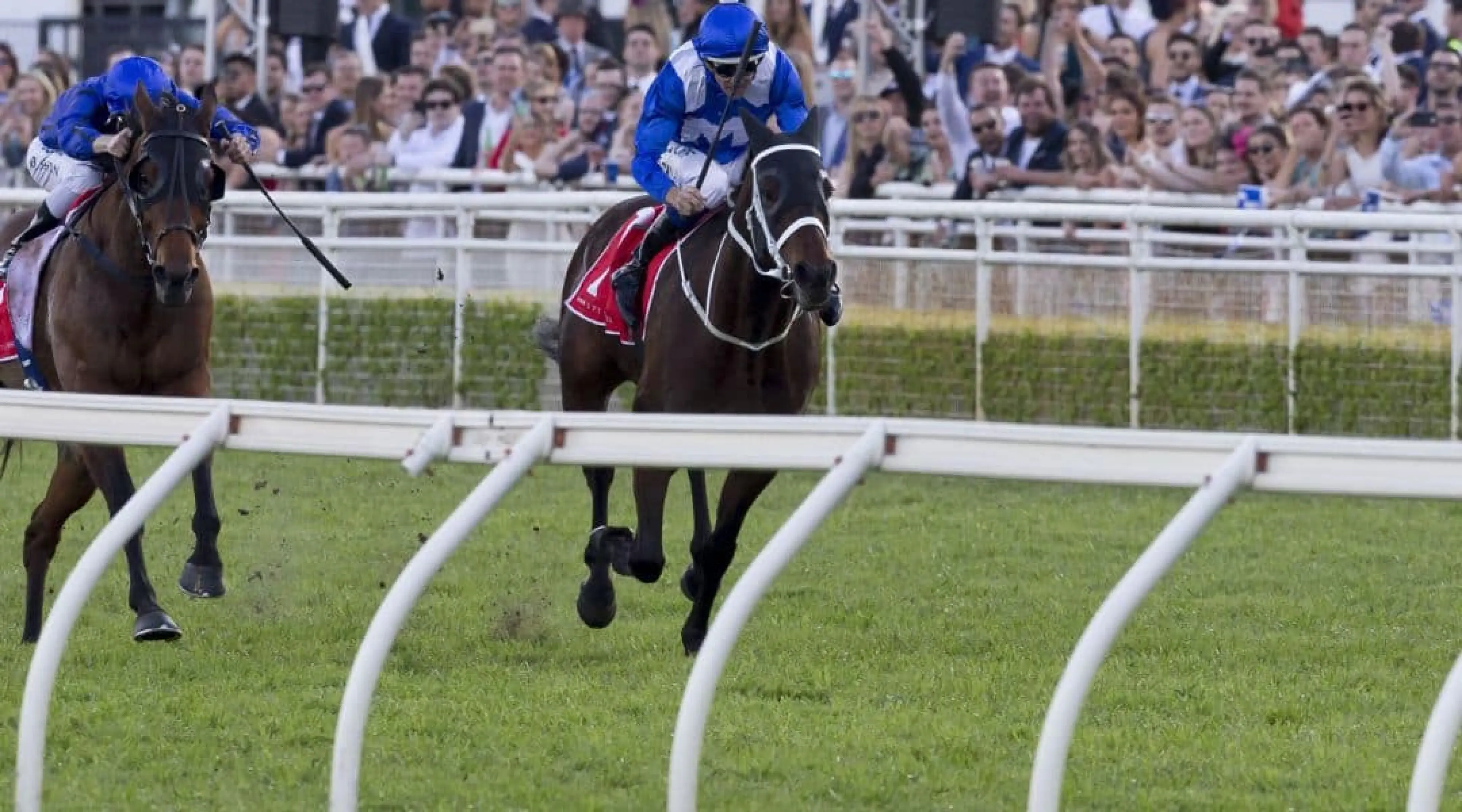 Winx