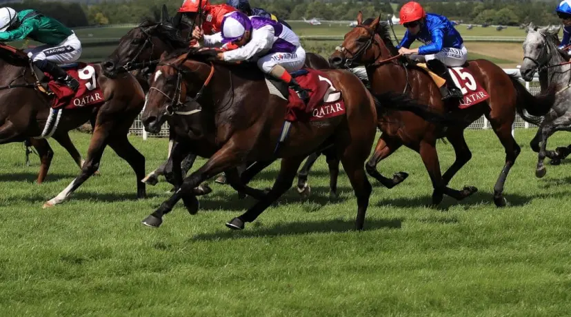 Newbury odds, Newmarket odds, Ripon odds