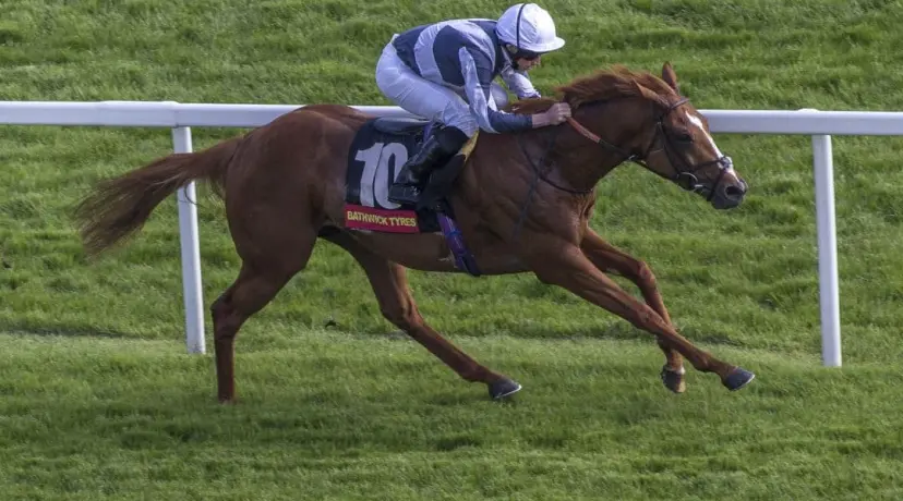 Ulysses Epsom Derby Betting Odds