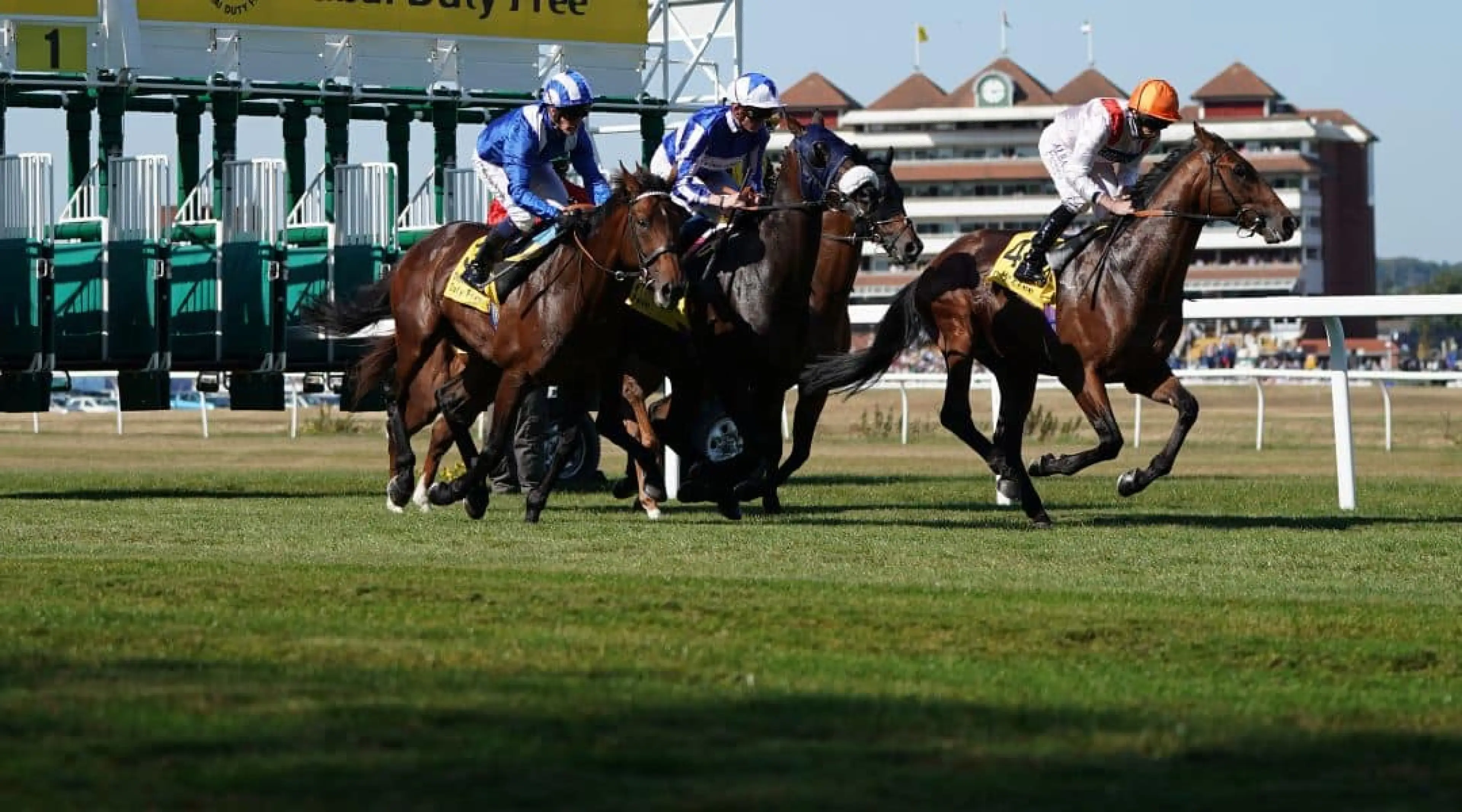 Newbury Racing