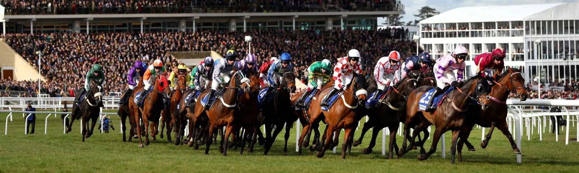 Cheltenham Gold Cup Trends Guide