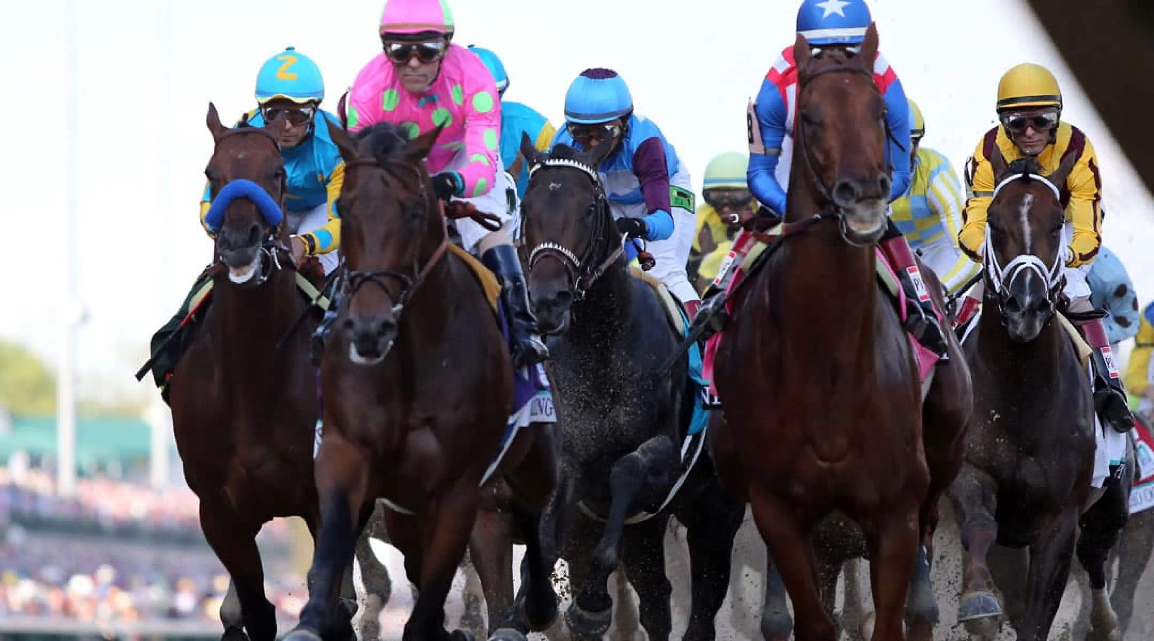 Kentucky Derby odds