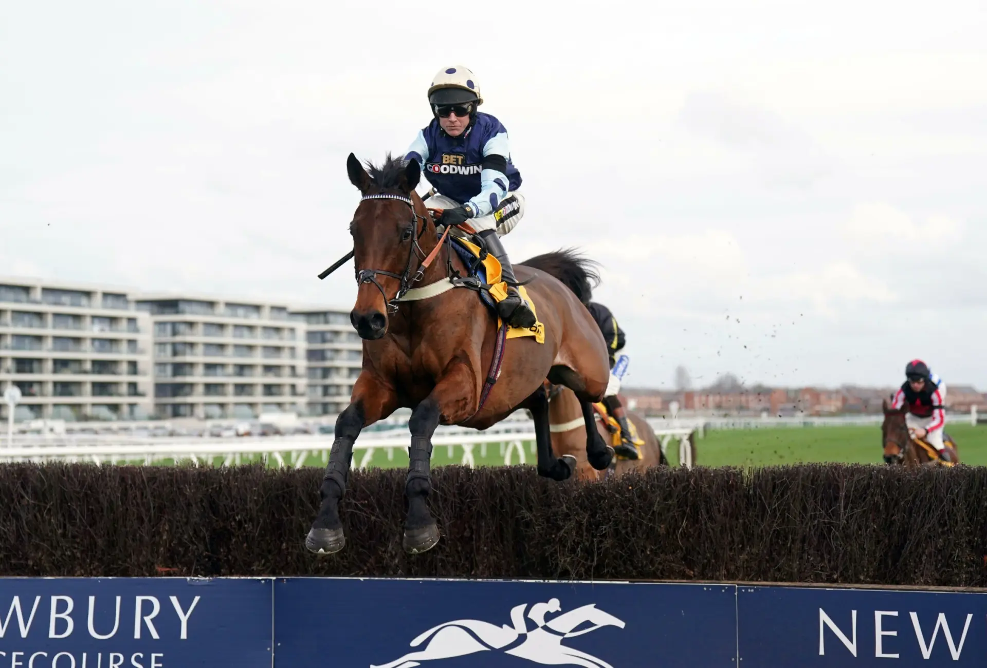 Edwardstone horse cheltenham festival