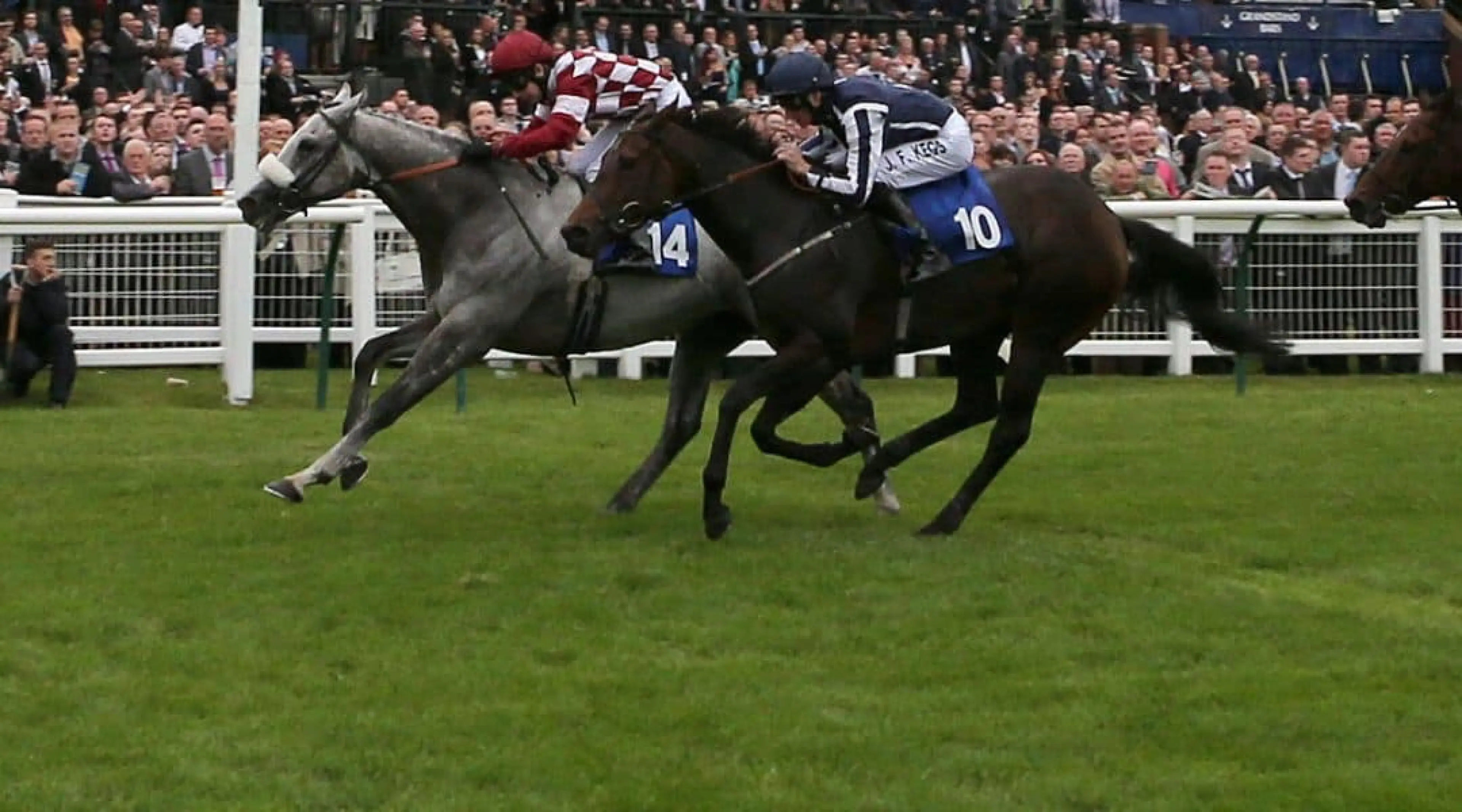 Ayr Racecourse