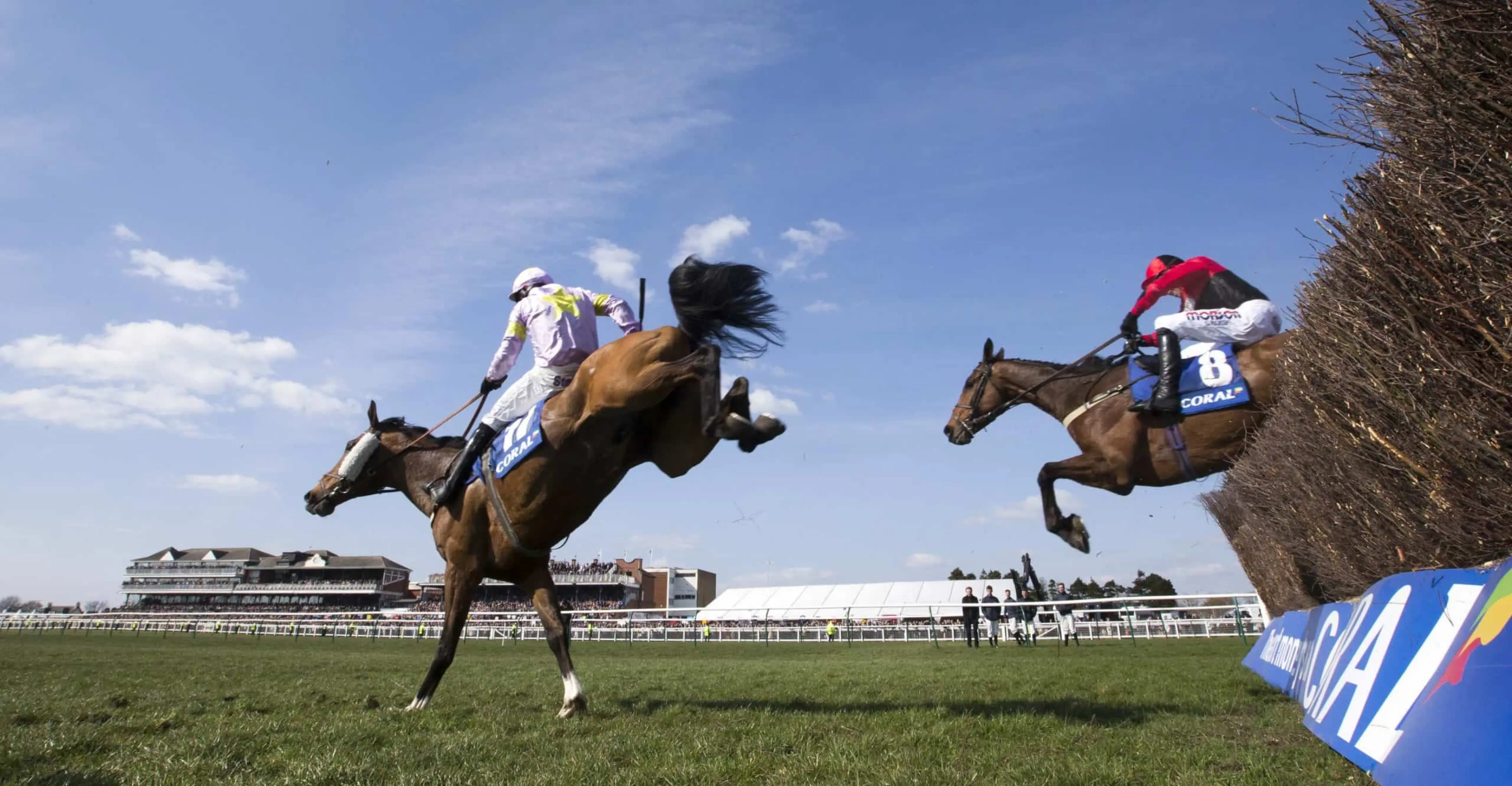 Coral Scottish Grand National horse racing