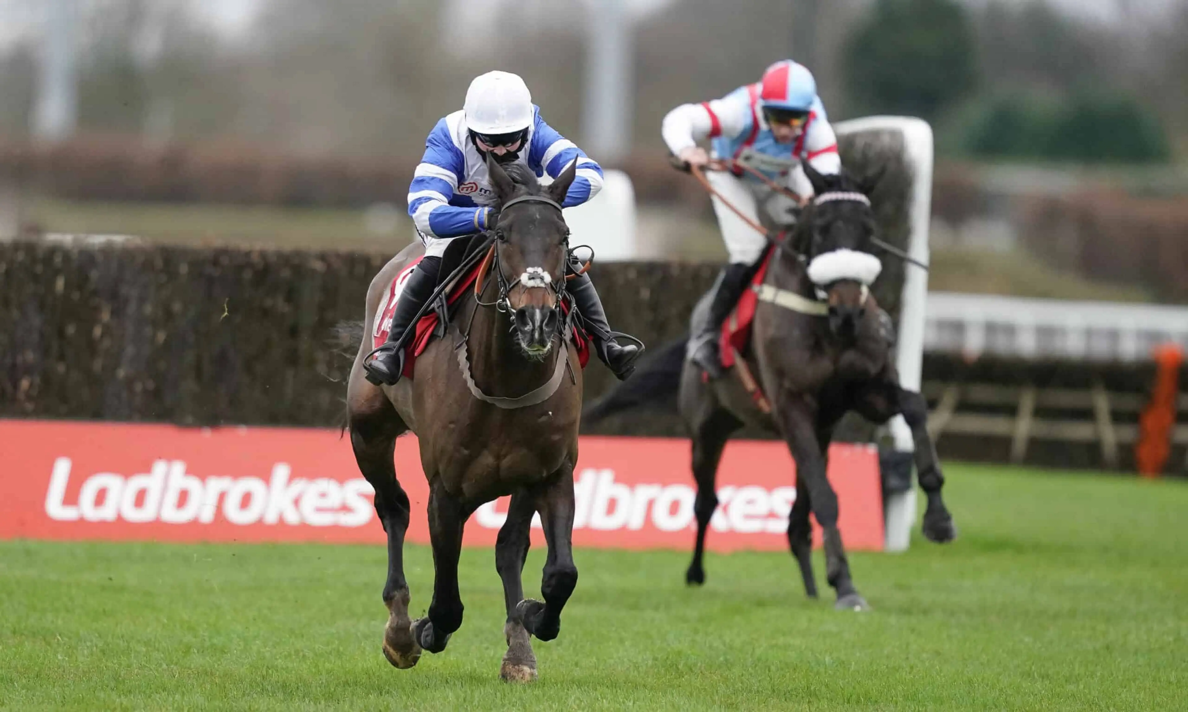Frodon, King George VI Chase, Kempton Christmas Festival