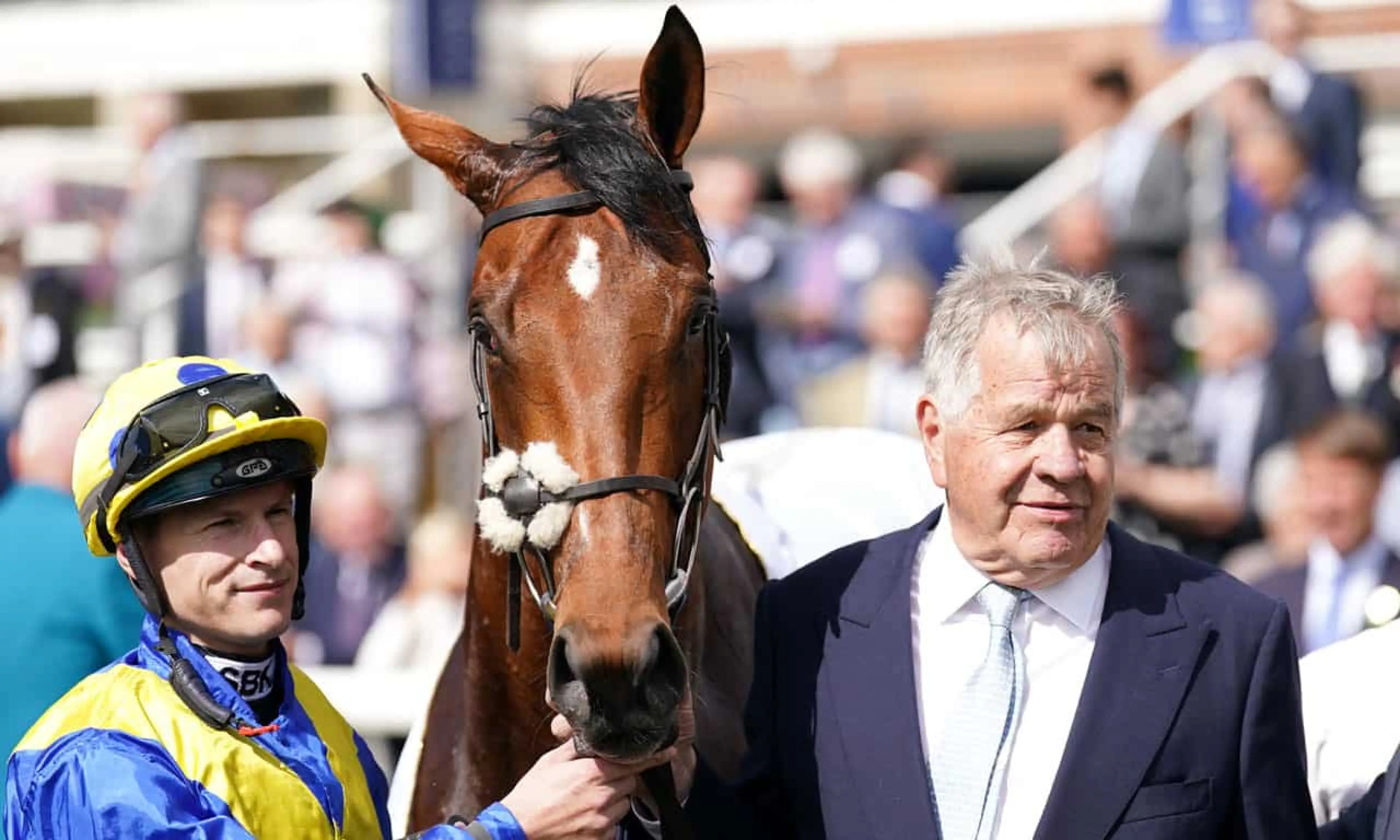 Desert Crown, Michael Stoute